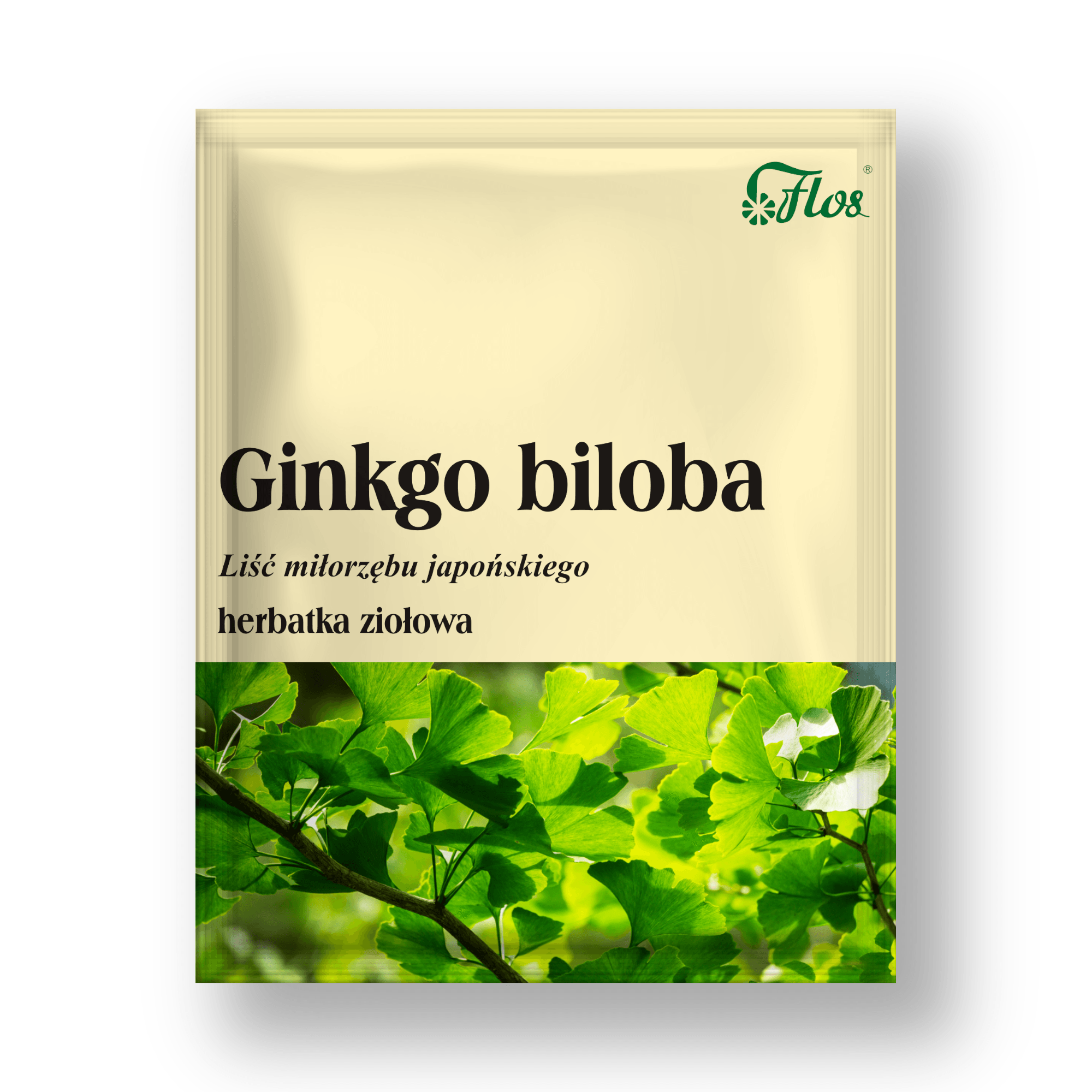 Ginkgo Biloba - Miłorząb Japoński Liść 50 g - środek spożywczy
