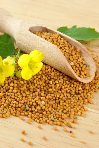 Flos - wyroby z nasion gorczycy i łuski gryczanej