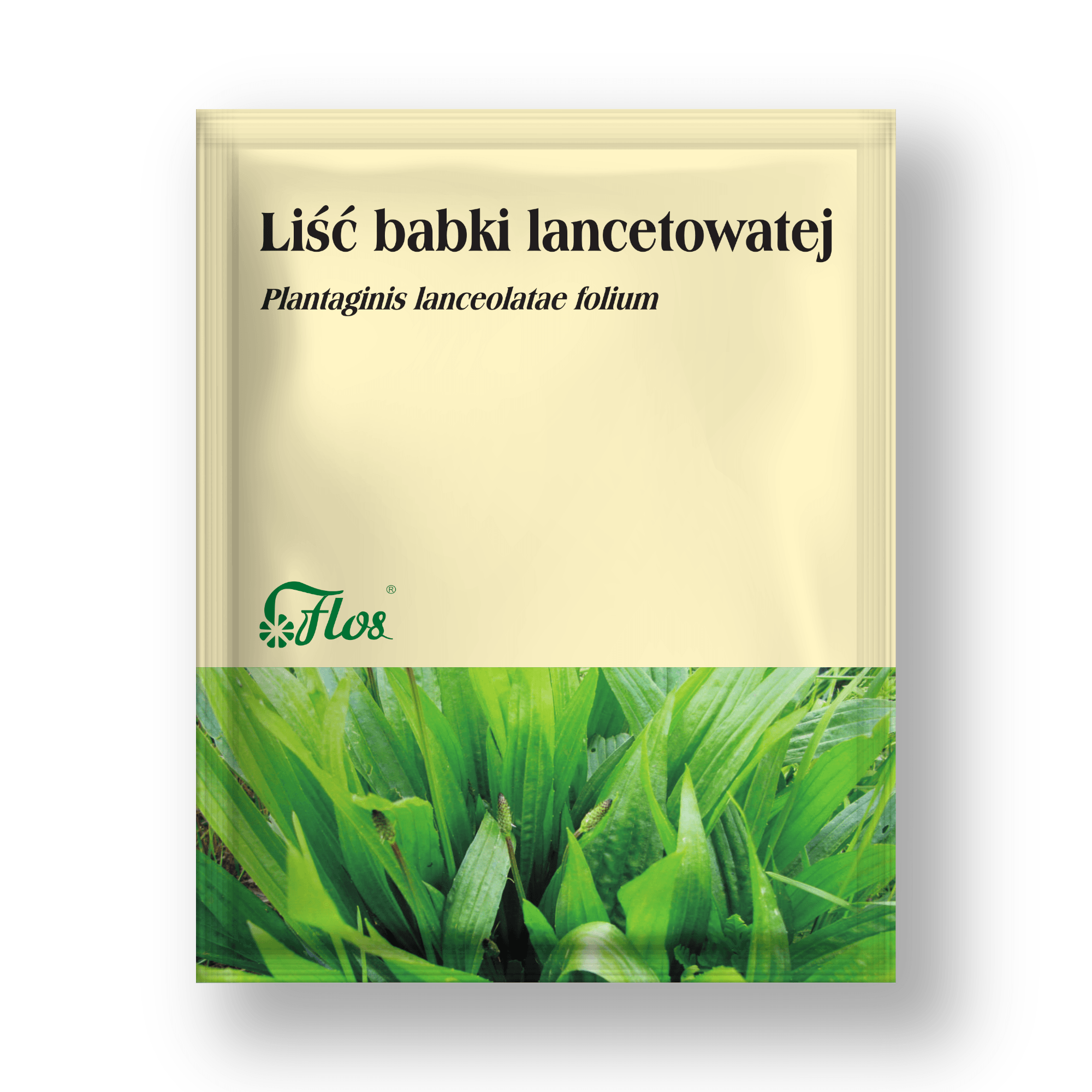 Liść babki lancetowatej - Plantaginis lanceolatae folium