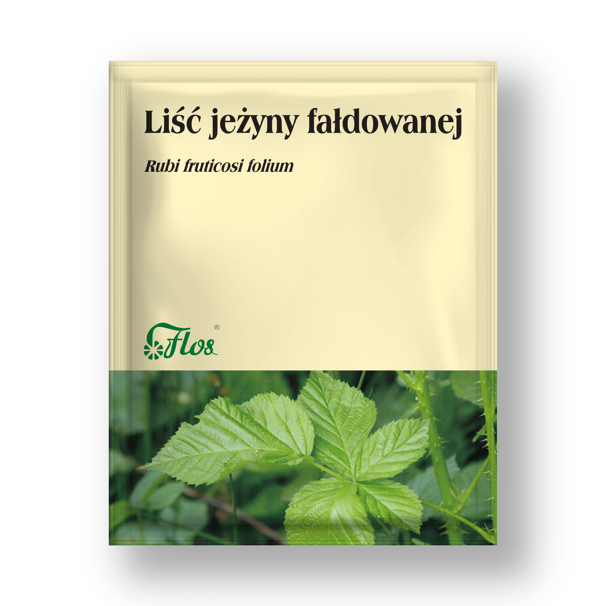 Liść jeżyny fałdowanej - Rubi fruticosi folium