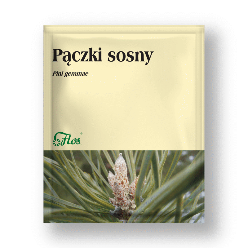Pączki sosny - Pini gemmae