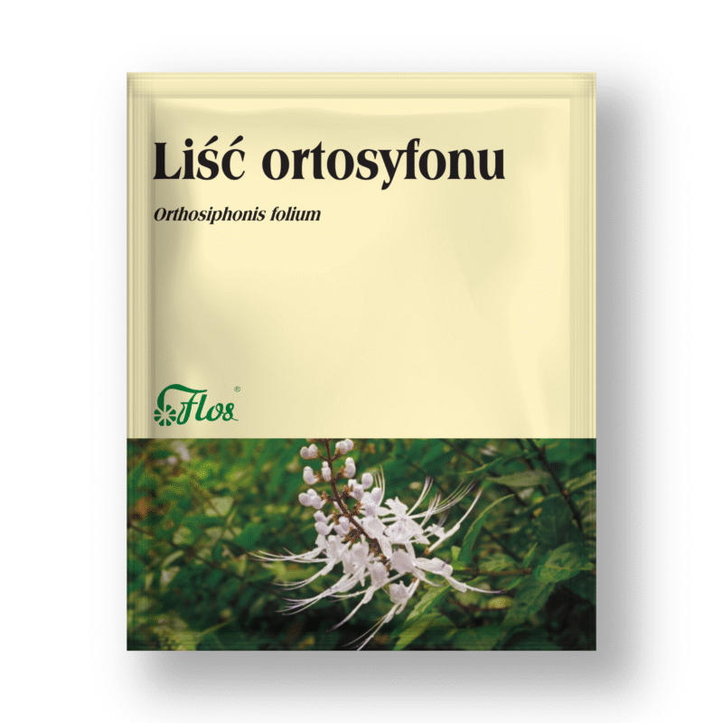 Liść ortosyfonu - Orthosiphonis folium