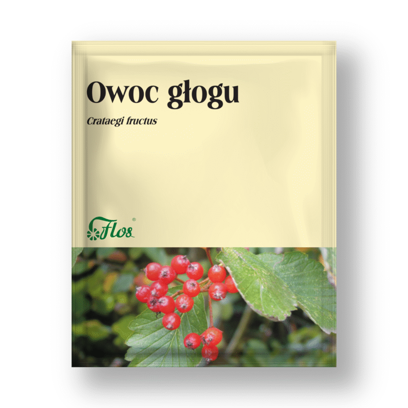 Owoc głogu - Crataegi fructus