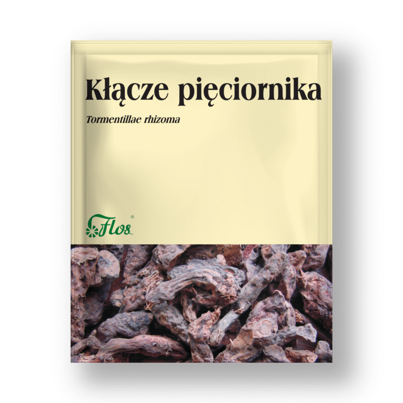 Kłącze pięciornika - Tormentillae rhizoma