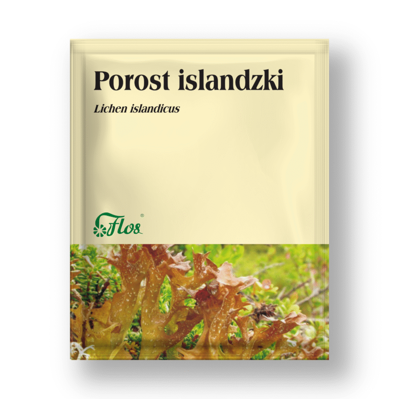 Porost islandzki - Lichen islandicus