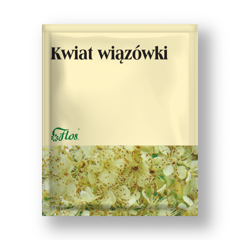 Kwiat wiązówki