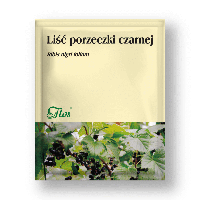 Liść porzeczki czarnej - Ribis nigri folium