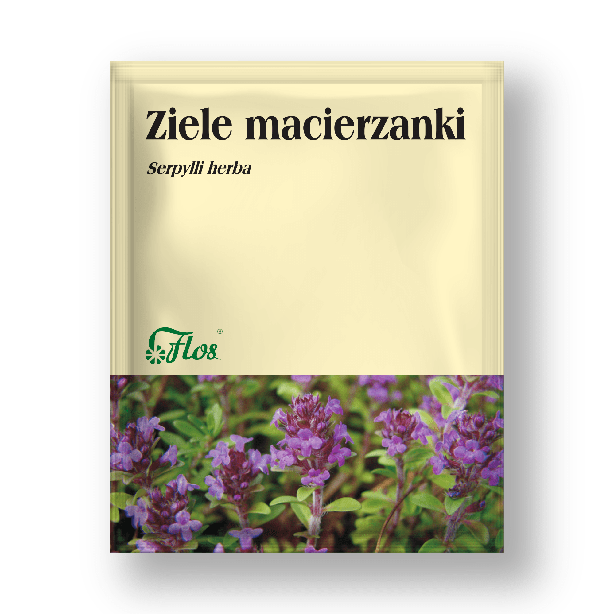 Ziele macierzanki - Serpylli herba