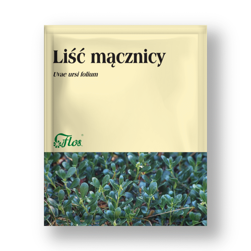 Liść mącznicy - Uvae ursi folium