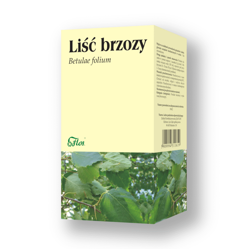 Liść brzozy - Betulae folium