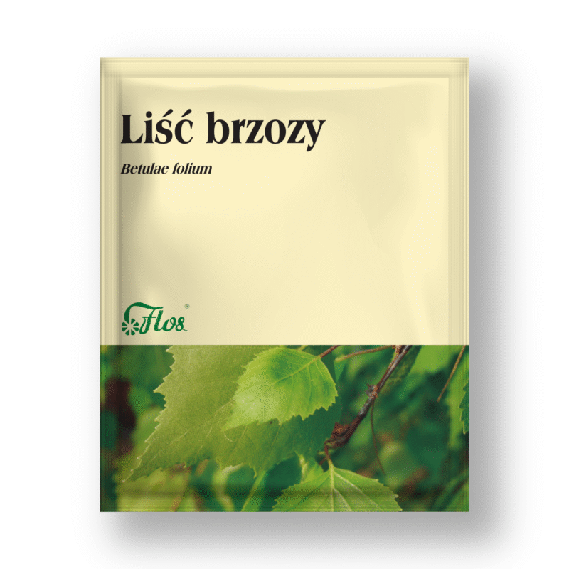 Liść brzozy - Betulae folium