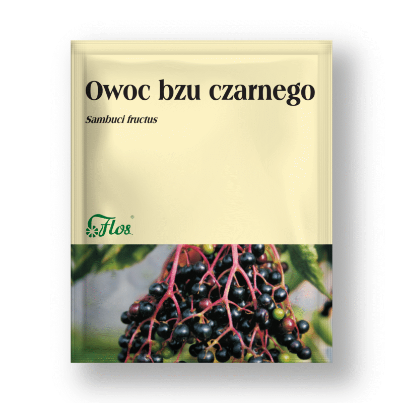 Owoc bzu czarnego - Sambuci fructus