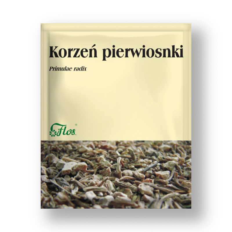 Korzeń pierwiosnki - Primulae radix