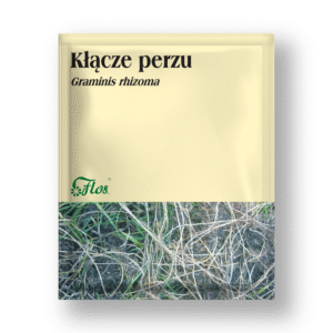 Kłącze perzu - Graminis rhizoma